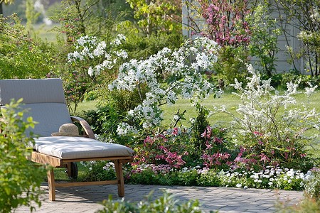 Спирея в ландшафтном дизайне: какой сорт выбрать, где посадить и с чем сочетать (78 фото)