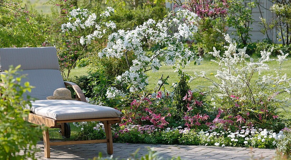 Спирея в ландшафтном дизайне: какой сорт выбрать, где посадить и с чем сочетать (78 фото) Спирея в ландшафтном дизайне: какой сорт выбрать, где посадить и с чем сочетать (78 фото)