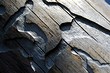 Как избавиться от короедов в доме: 6 способов борьбы и правила профилактики заражения