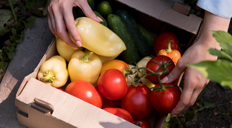 Не опоздайте: 7 правил сбора овощей и фруктов, чтобы не переспели
