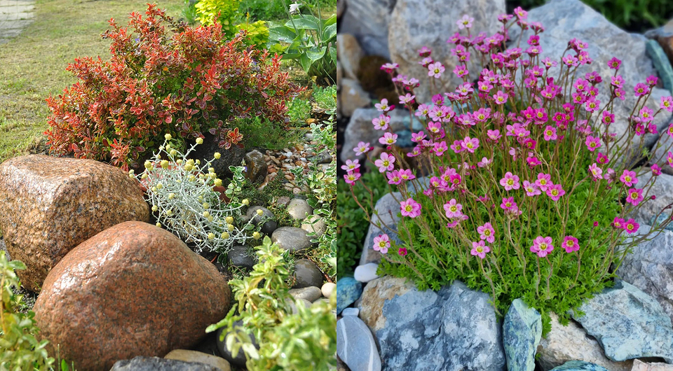 7 красивых альпийских горок, которые вы сможете повторить в своем саду