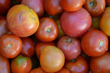 Помидоры трескаются при созревании: почему так происходит и как предотвратить это