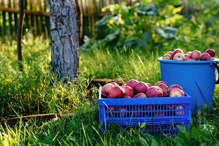 Не забудьте! 8 обязательных дел перед закрытием дачного сезона