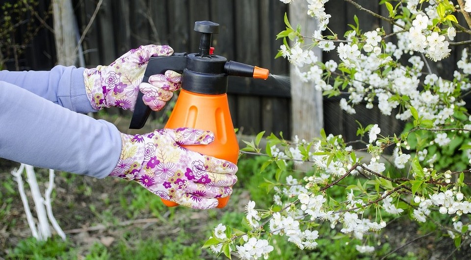 Табачная пыль от вредителей: 12 способов применения и рецепты