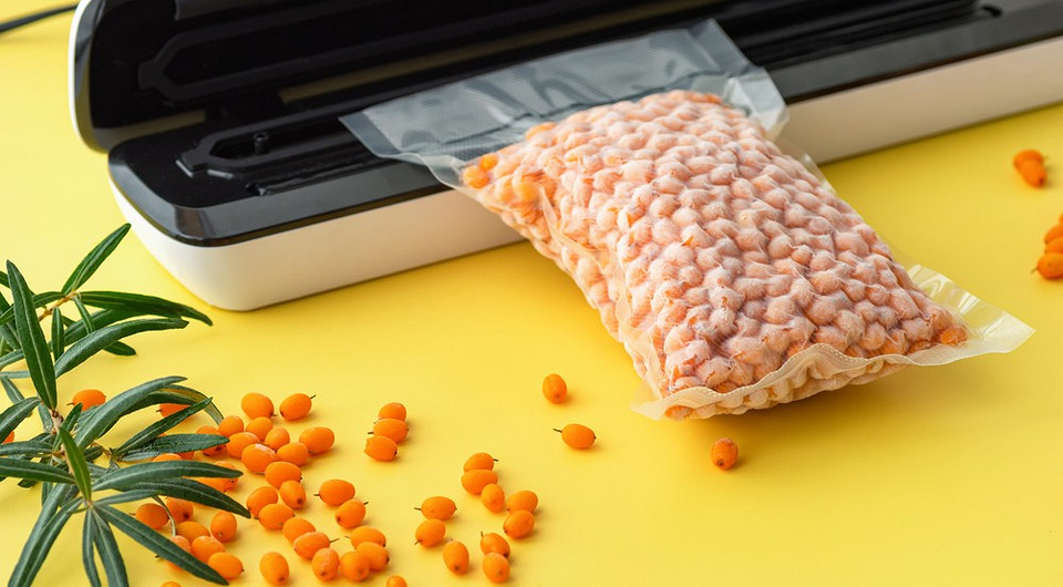 Как выбрать вакууматор для дома: 5 важных критериев и полезные советы