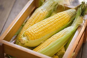 Как хранить кукурузу: 4 проверенных способа и полезные советы новичкам