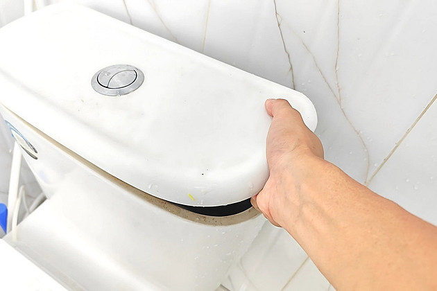 Как снять крышку с унитаза и ничего не сломать: простая инструкция