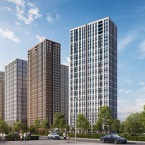  Монолитный