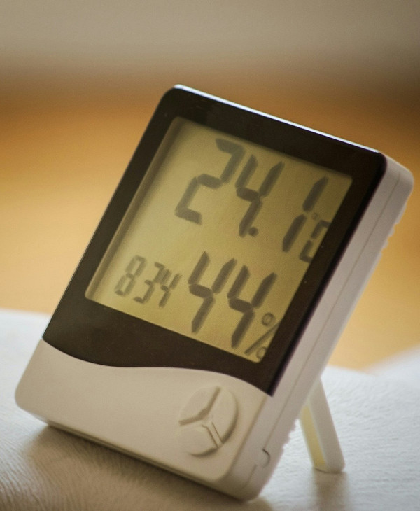 Монстера: уход в домашних условиях и советы по выращиванию