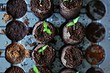 Лунный календарь для рассады на 2025 год: когда можно сеять, благоприятные дни в таблицах