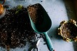 Какая земля для рассады лучше: оптимальный состав и 4 критерия выбора