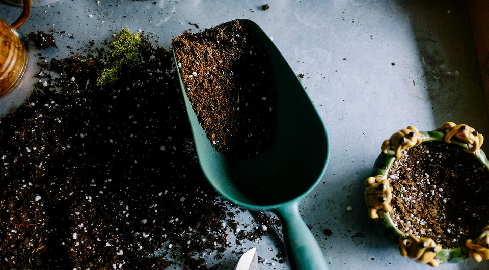 Какая земля для рассады лучше: оптимальный состав и 4 критерия выбора