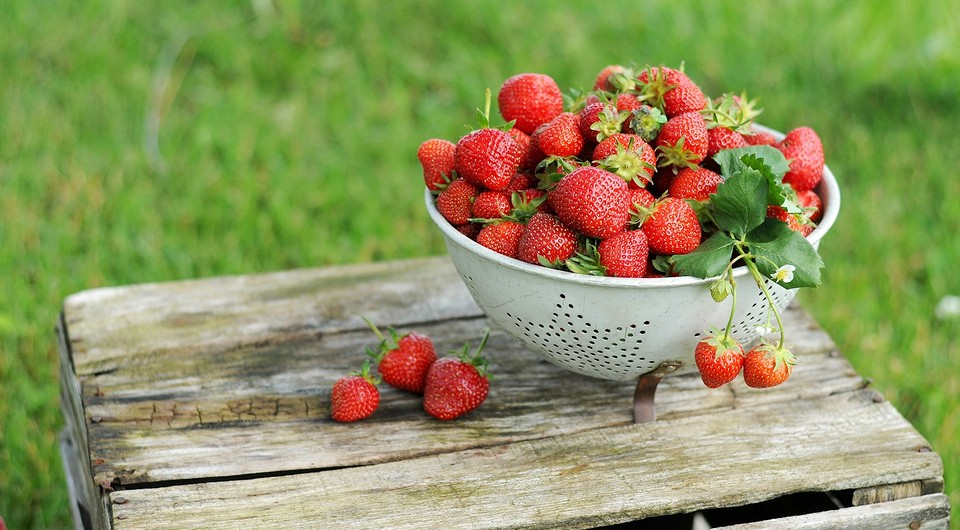 Самые сладкие сорта клубники: 15 названий для разных регионов России