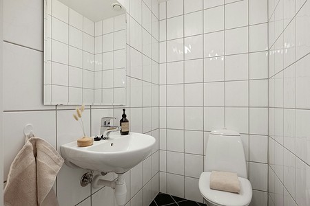 Запах канализации в туалете: 3 причины появления и эффективные способы борьбы с ним