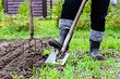 Лунный календарь на апрель 2025 года для огорода и сада: таблица и подсказки