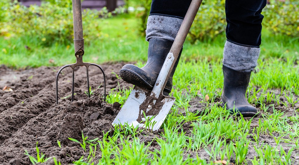 Лунный календарь на апрель 2025 года для огорода и сада: таблица и подсказки Лунный календарь на апрель 2025 года для огорода и сада: таблица и подсказки