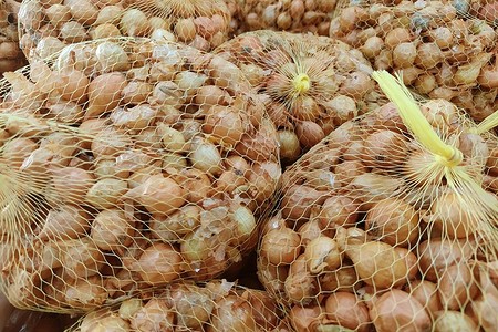 Как хранить лук севок до посадки: 3 способа