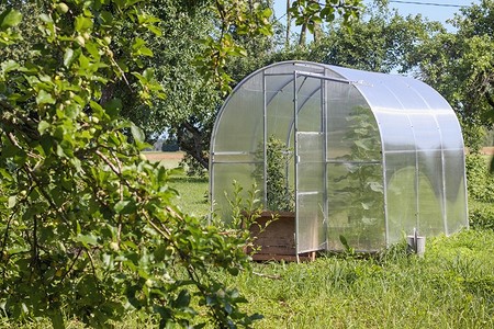 Какой поликарбонат выбрать для теплицы: критерии выбора и полезные советы