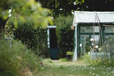 Налог на бани, сараи и теплицы в 2025 году: кто и сколько должен платить