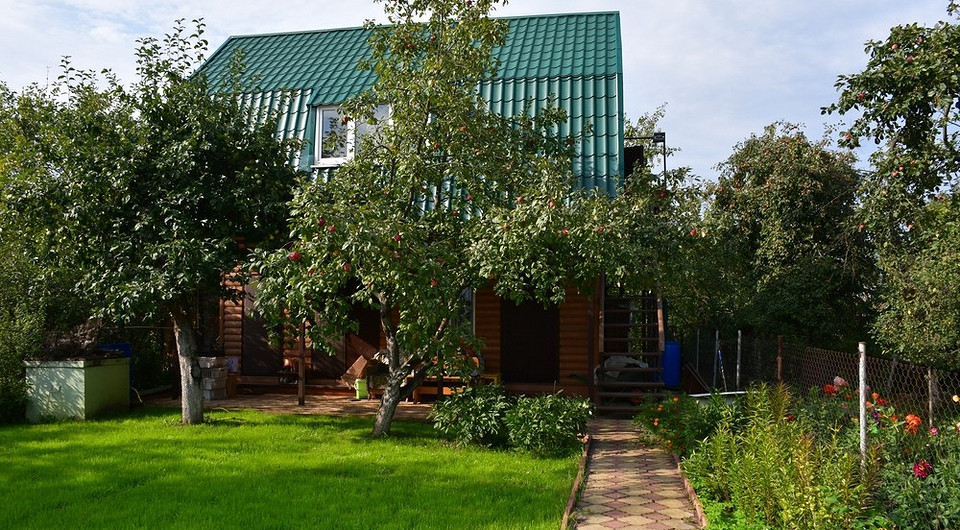 Как подготовить дачу к летнему сезону? 7 важных дел дома и на участке