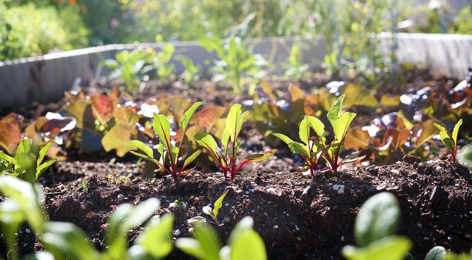 Телефонға түсірілген ауылдағы порно