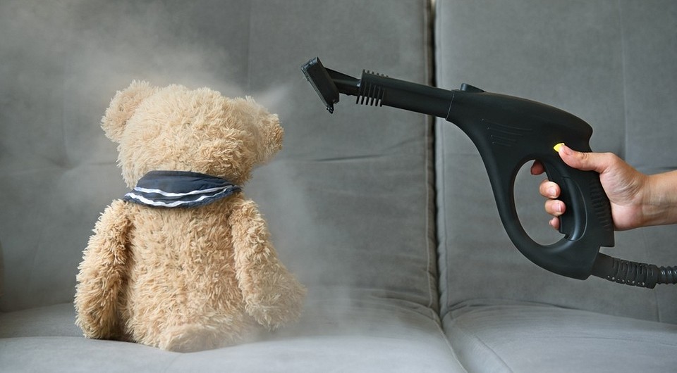 Как избавиться от пылевых клещей: разовые и регулярные мероприятия, советы по профилактике