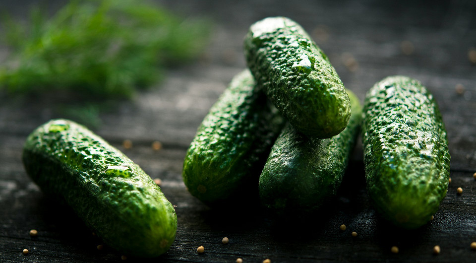 Партенокарпические сорта огурцов: 10 названий Партенокарпические сорта огурцов: 10 названий