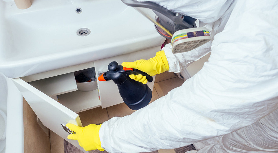 Как избавиться от мокриц в квартире: народные средства и промышленные инсектициды