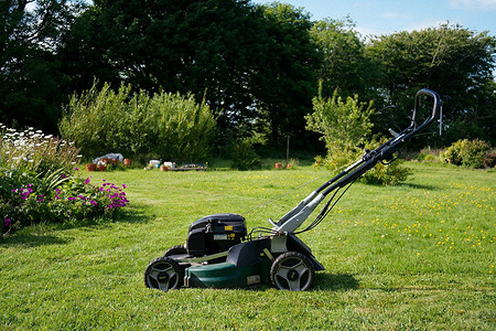 Как выбрать газонокосилку для дачи: 8 самых важных характеристик