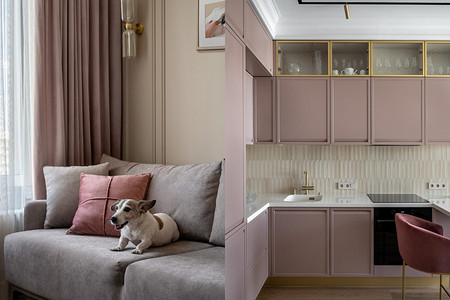 Интерьер с потрясающей розовой кухней: квартира 36 кв. м для девушки-преподавателя и ее собаки