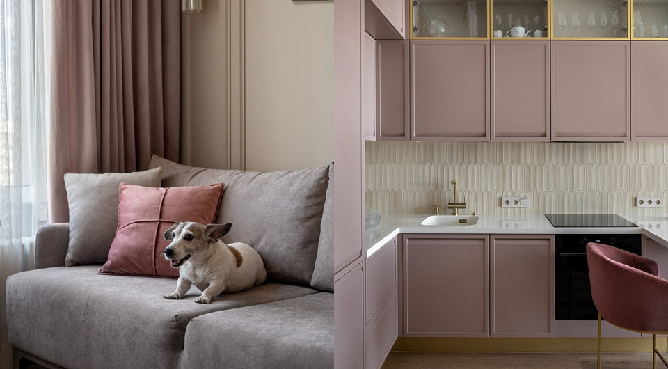 Интерьер с потрясающей розовой кухней: квартира 36 кв. м для девушки-преподавателя и ее собаки