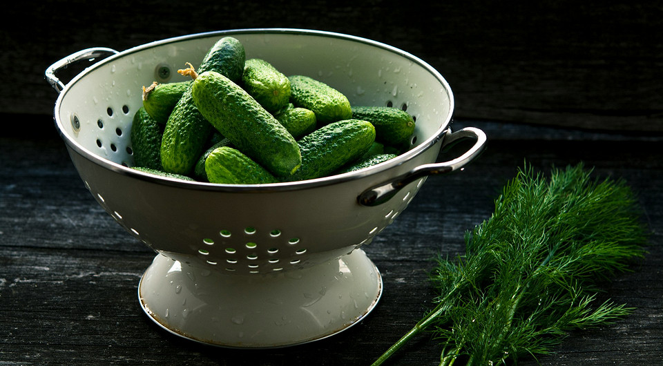 Огурцы для засолки — лучшие сорта: 15 названий
