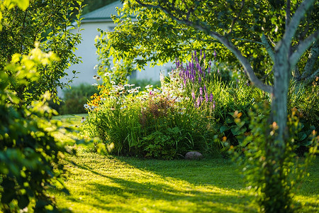 6 способов спасти растения в жару, если вы редко приезжаете на дачу