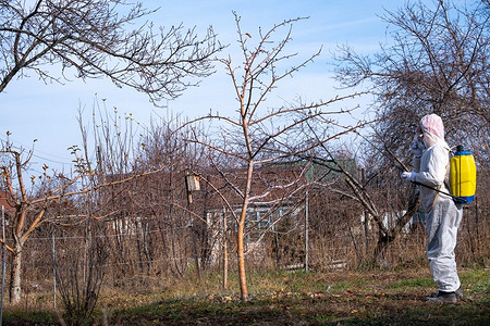 Обработка деревьев осенью железным купоросом: правила и советы