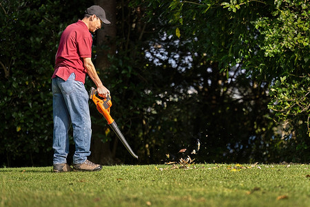Лучшие воздуходувки: топ-10 моделей для сада и дома