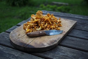 Как помыть лисички: 4 способа от шеф-поваров и грибников