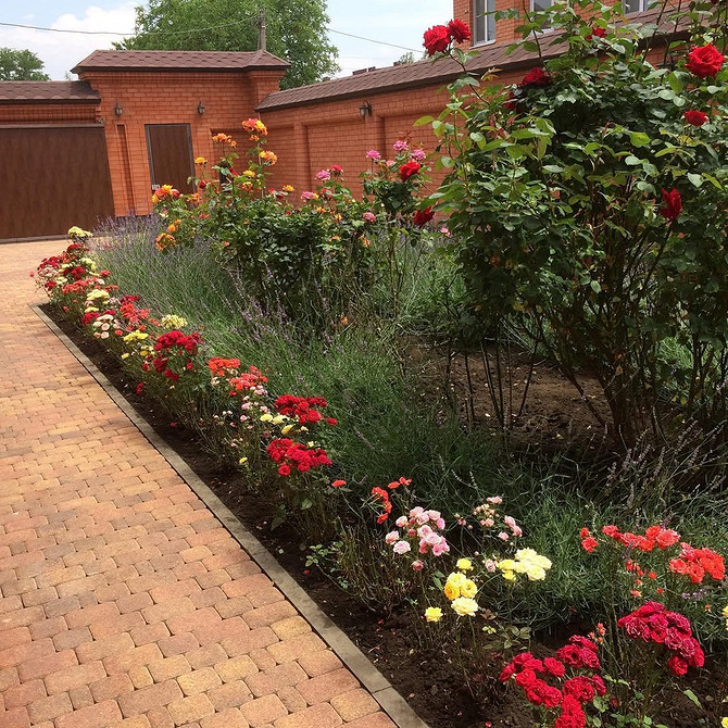 Розы в ландшафтном дизайне: советы по выбору, расположению и 54 вдохновляющих фото