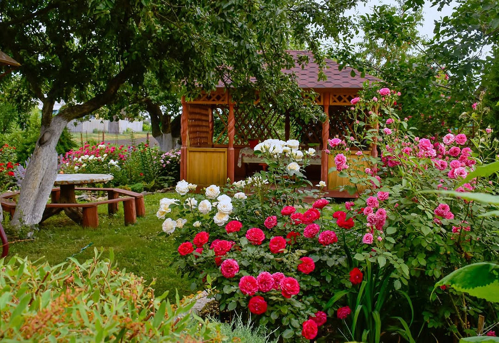 Розы в ландшафтном дизайне: советы по выбору, расположению и 54 вдохновляющих фото