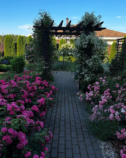 Розы в ландшафтном дизайне: советы по выбору, расположению и 54 вдохновляющих фото