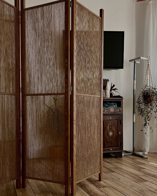 Как зонировать комнату на спальню и гостиную: 8 доступных вариантов и 58 фото