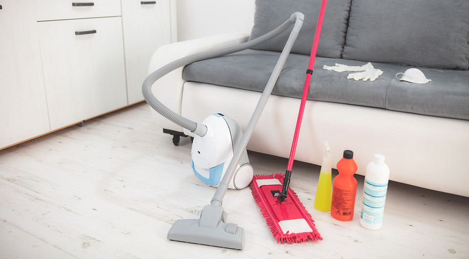 Как избавиться от блох в квартире: народные средства, бытовая химия и профилактика