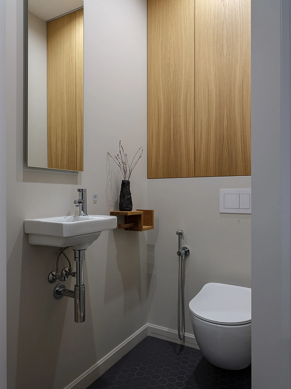 Дизайн маленького туалета: правила оформления и примеры проектов (65 фото)