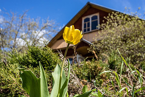 8 обязательных дел в саду в марте и апреле