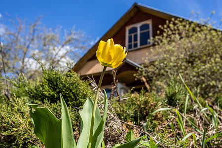 8 обязательных дел в саду в марте и апреле