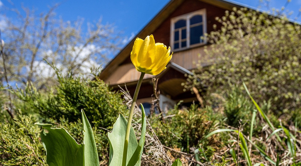8 обязательных дел в саду в марте и апреле