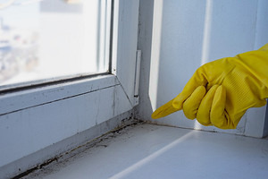 Как убрать плесень с окон: народные средства и бытовая химия