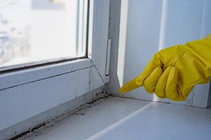 Как убрать плесень с окон: народные средства и бытовая химия