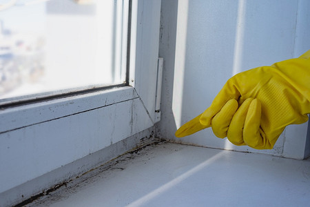 Как убрать плесень с окон: народные средства и бытовая химия