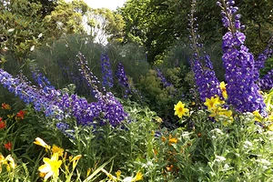 Высокие многолетники: 10 красивых цветов для вашего сада