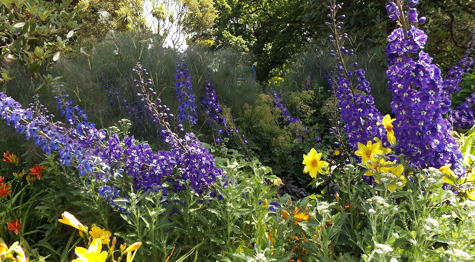 Высокие многолетники: 10 красивых цветов для вашего сада